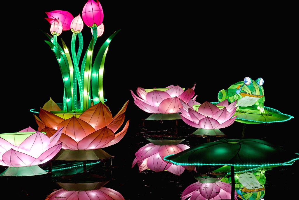 china light licht festival lichtshow show festiviteit glow evenement event chinees chinese verlichting draak dragon lichtfestival zoo